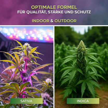 Hanf Dünger Bloom (0,5 l)