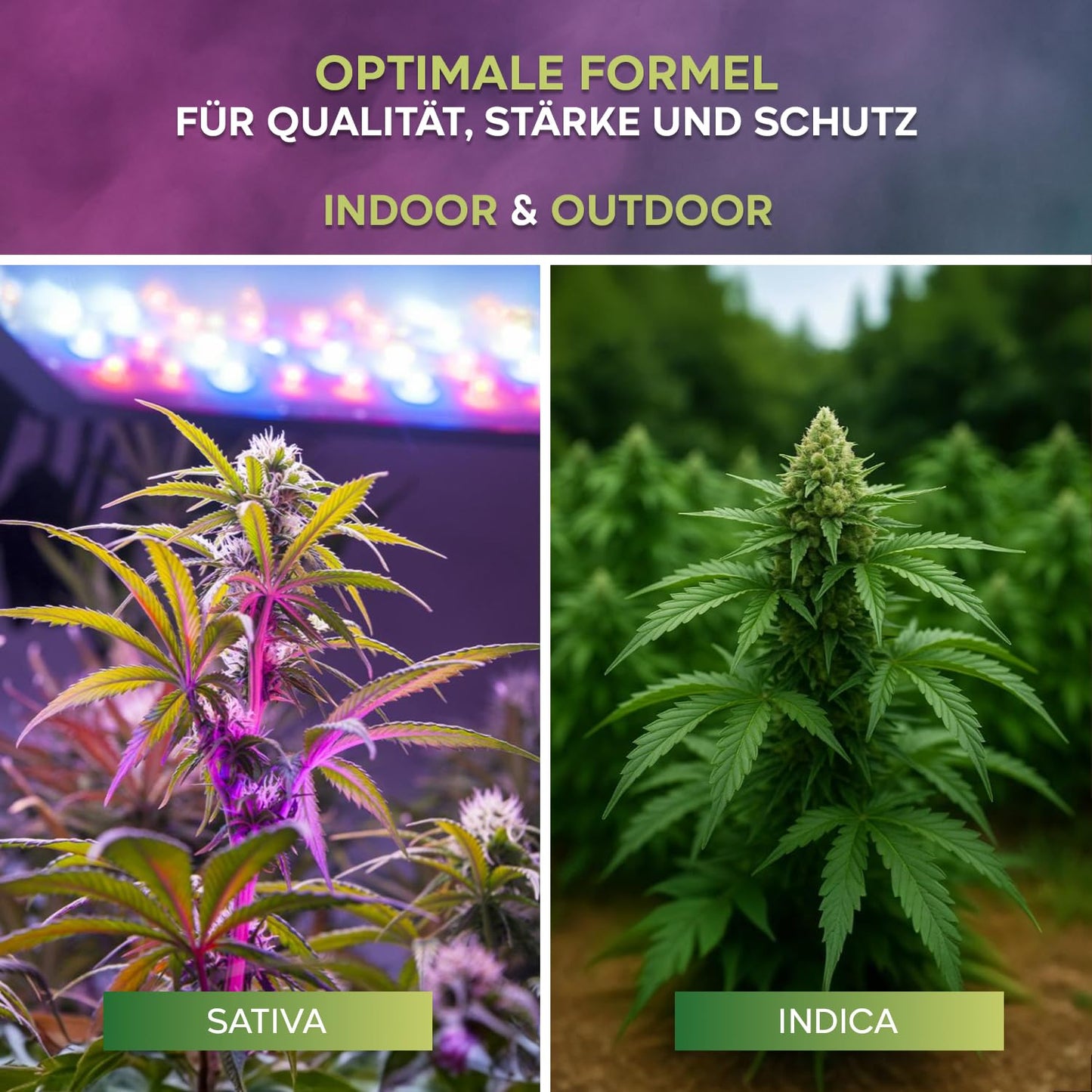 Hanf Dünger Grow (0,5 L)