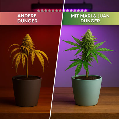 Hanf Dünger Bloom (0,5 l)